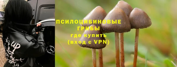 прущий лед Лиски